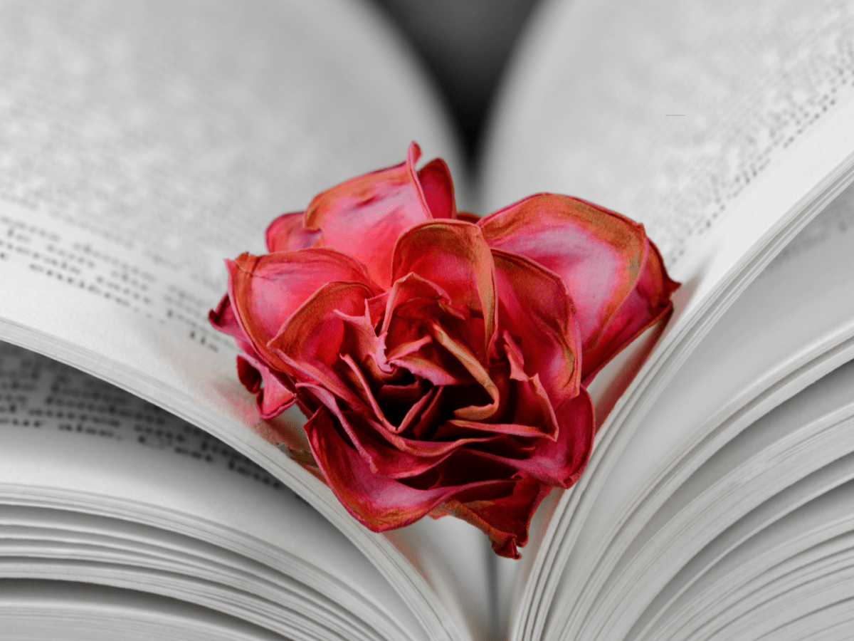 Terry’s Intrigue Over The Dry Flowers Part&nbsp;2