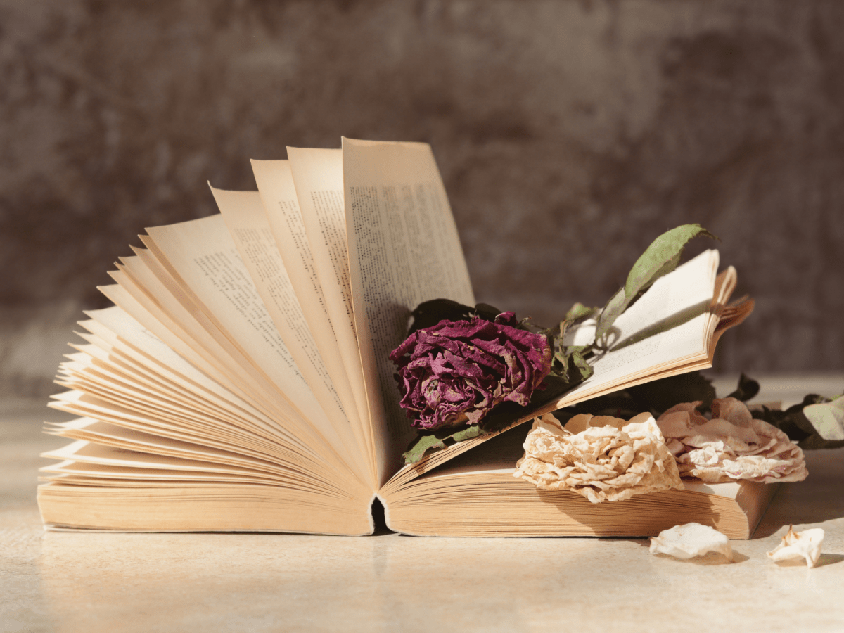 Terry’s Intrigue Over the Dry Flowers Part&nbsp;1