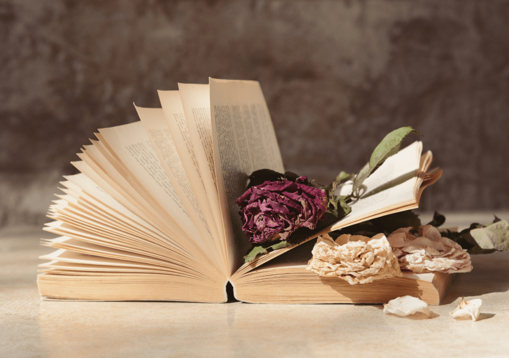 Terry’s Intrigue Over the Dry Flowers Part&nbsp;1