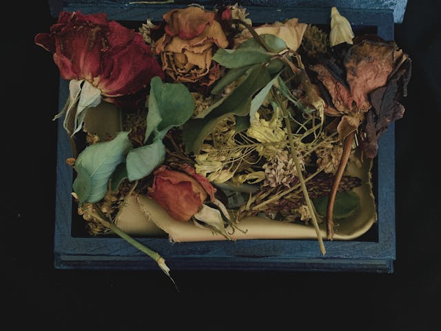 Mystery of the Dry Flowers Part&nbsp;3