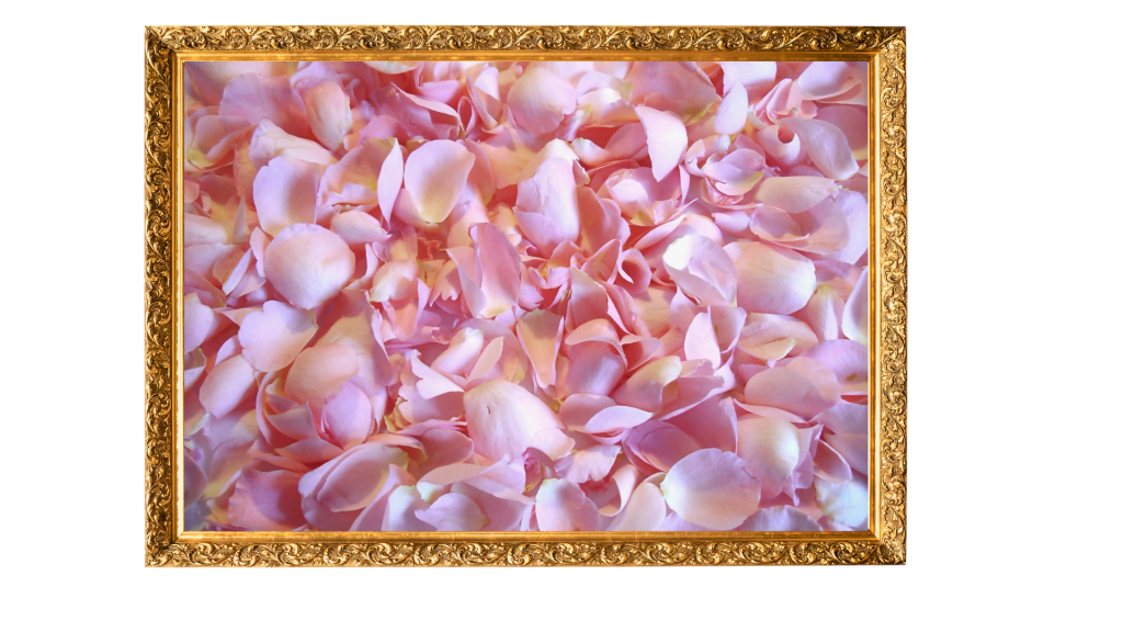 Mystery of the Dry Flowers Part&nbsp;1