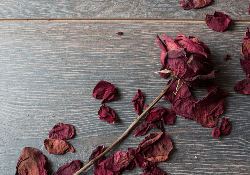 Grace Wrestles with the Dry Roses Saga Part&nbsp;1